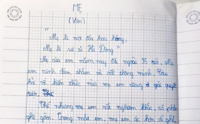 Làm bài văn tả mẹ, cậu bé lớp 4 chốt 1 câu: Thà FA còn hơn lấy người vợ như mẹ