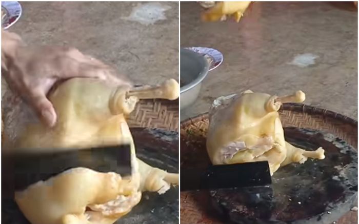 Mua được con gà về luộc, người đàn ông ngỡ ngàng vì toàn mỡ là mỡ