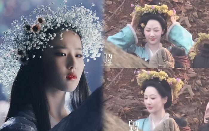 Dương Tử hóa hoa tiên tử trong tạo hình mới, đẹp thế nào mà được so sánh với Lưu Diệc Phi?