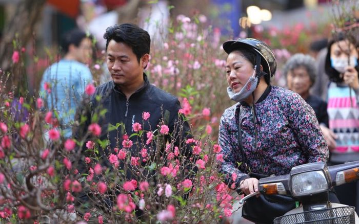 Miền Bắc đón liên tiếp 2 đợt không khí lạnh ngay trước Tết Nguyên đán