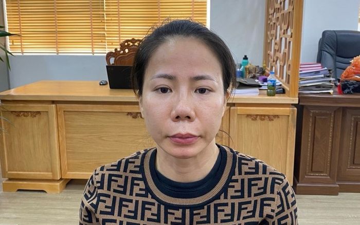 Thấy đồng nghiệp cũ gặp nạn, người phụ nữ lừa gần 7 tỷ đồng