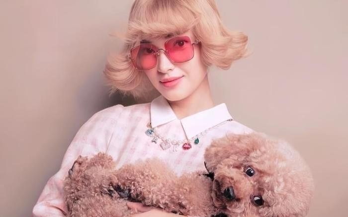 Chị gái Châu Bùi bức xúc lên tiếng vụ cún cưng gặp sự cố trong lúc vận chuyển