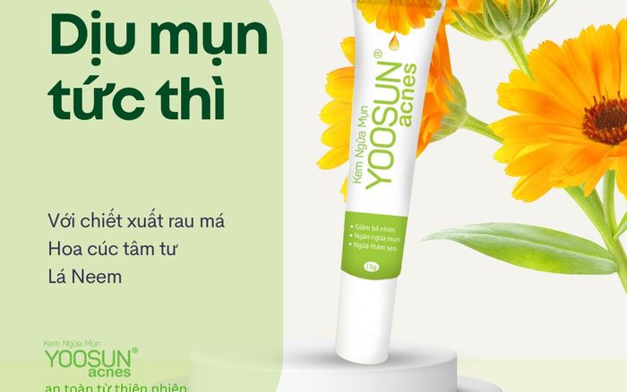 Kem trị mụn an toàn từ thiên nhiên cho lứa tuổi dậy thì