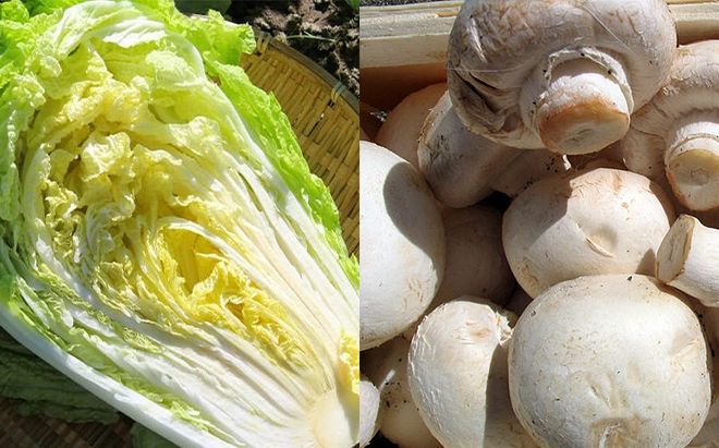 3 thực phẩm 'vàng' bảo vệ sức khỏe giữa thời tiết ẩm ương sáng nắng tối lạnh