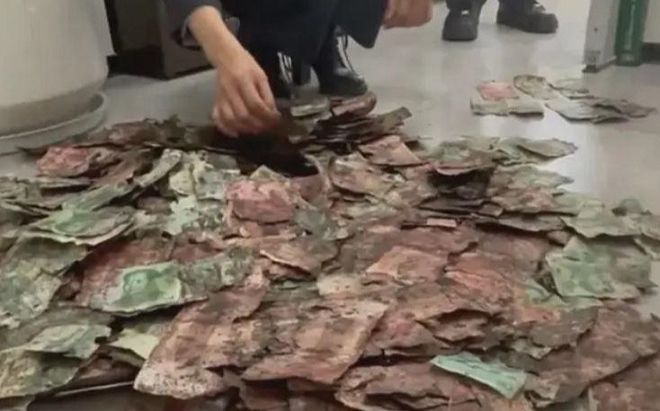 Vô tình phát hiện hơn nửa tỷ đồng bị chôn dưới đất, gia đình vội vàng đến ngân hàng cầu cứu