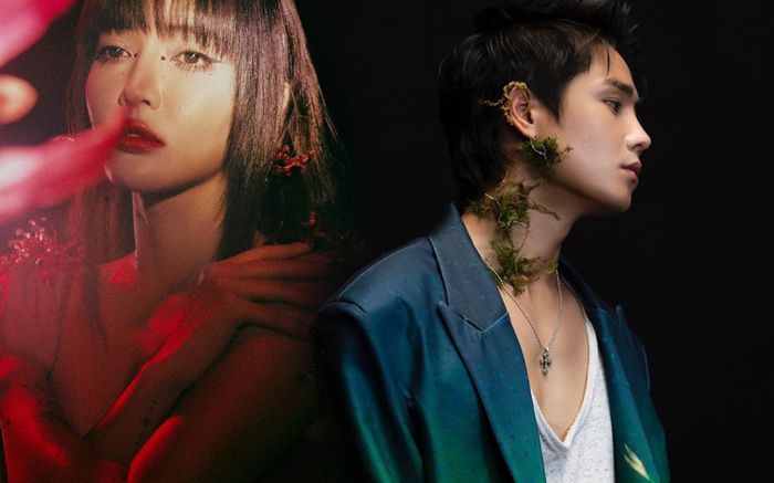 Hậu tin đồn tình cảm, Tăng Duy Tân sẽ 'góp mặt' trong sản phẩm mới của Bích Phương?