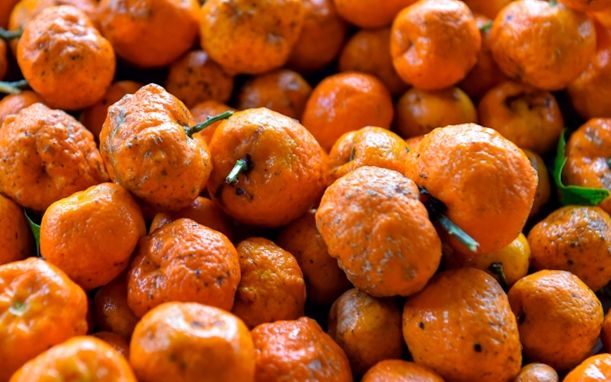 Loại quả chỉ có ở Thanh Hoá, xưa đầy người biết, giờ thành đặc sản tốt cho sức khoẻ với 40.000 đồng/kg