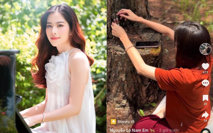 Nam Em làm gì để kiếm tiền sau khi hết đường quay lại showbiz?