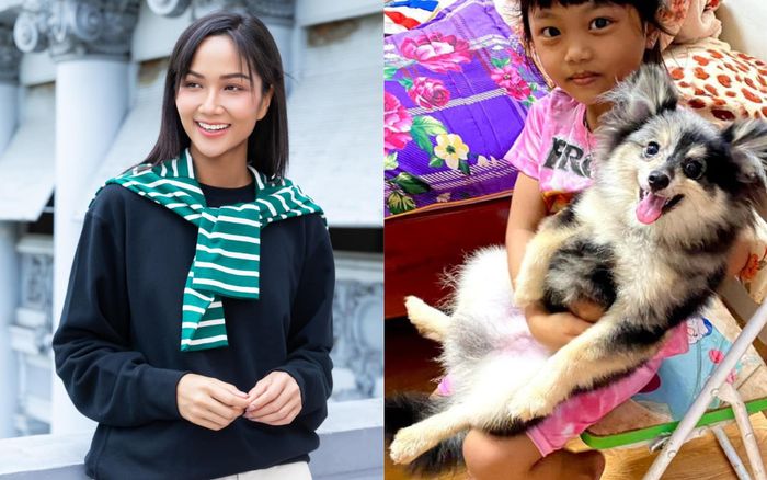 H'Hen Niê đau đớn vì thú cưng qua đời, trước đó gặp phải tai nạn ngoài ý muốn