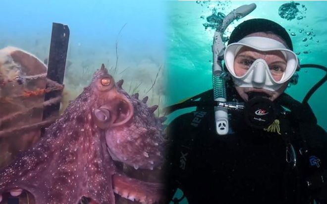 Bơi dưới biển, nữ thợ lặn được con bạch tuộc cuốn tay dẫn đến một nơi khó tin