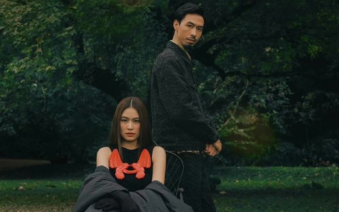 Nếu Hoàng Thùy Linh và Đen Vâu về chung nhà, khối tài sản sẽ 'khủng' cỡ nào?