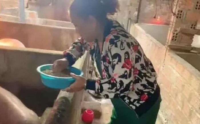 Nữ ca sĩ Việt tuyên bố vỡ nợ 40 tỷ đồng, phải về quê nuôi heo