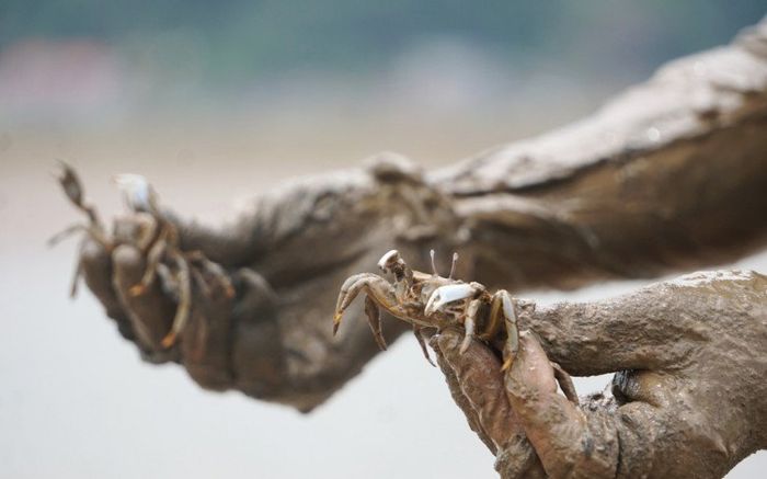 Đặc sản chỉ có ở Thanh Hoá, xưa là món ăn nhà nghèo, giờ được dân thành phố ưa chuộng đến lạ