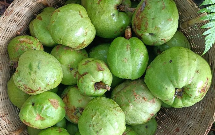 Loại quả xưa chín rụng đầy gốc, giờ thành đặc sản được chị em ưa chuộng, 90.000 đồng/kg