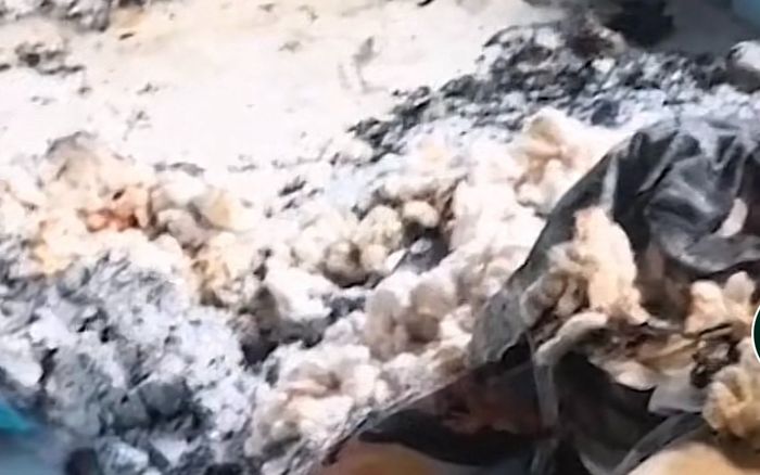 Dùng máy sấy tóc không rút phích cắm, nhà cô gái bỗng dưng bốc cháy và bài học nhớ đời