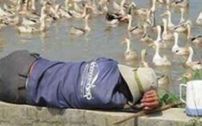 Ông lão bán vé số trúng độc đắc 2,7 tỷ đồng, vài tháng sau phải về quê chăn vịt vì cá độ