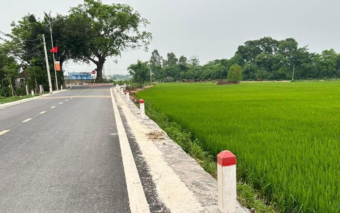 Về quê, thanh niên đạp xe ra đồng 'chữa lành' và cái kết