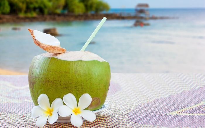 Những sai lầm tai hại khi uống nước dừa có thể bạn chưa biết