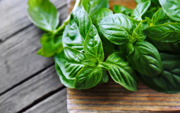 Loại rau có mùi thơm lừng, được trồng nhiều sau nhà, ai nấy đều ưa chuộng