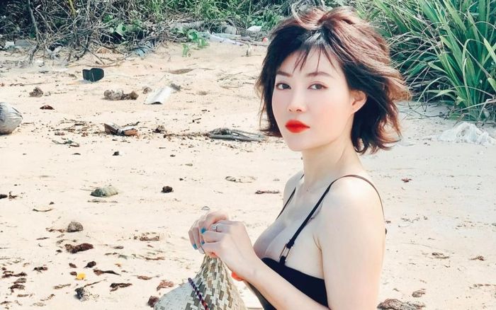 Vẻ đẹp thời thi nhan sắc của Thanh Hương ra sao mà đạt được ngôi Á hậu?