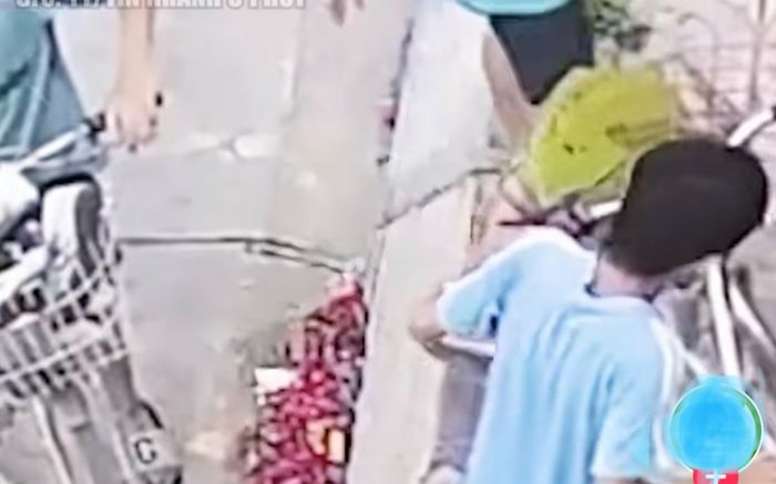 Không thấy quả mít trên cây, cô gái check camera thì phát hiện thủ phạm