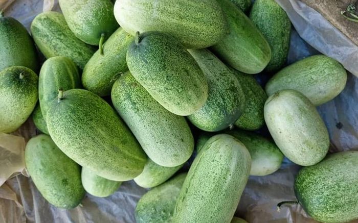 Loại quả xưa không ai biết, giờ thành đặc sản được dân thành thị 'săn lùng', 50.000 đồng/kg