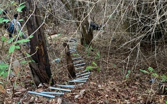 Phát hiện vali chứa thi thể cô gái bỏ trên núi ở Vũng Tàu