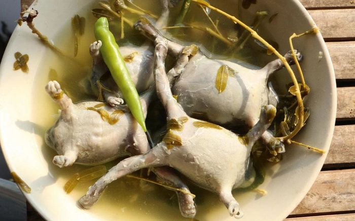 Món ăn cho tiền không dám thử nhưng là đặc sản trứ danh của Ninh Thuận và Thái Lan