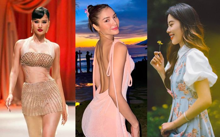 Showbiz 27/5: Nam Em bị antifan kiếm chuyện, Phương Trinh Jolie chê Hương Ly gây tranh cãi