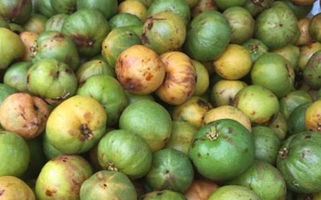 Loại quả xưa không ai biết, giờ thành đặc sản mùa hè hương vị lạ, 60.000 đồng/kg