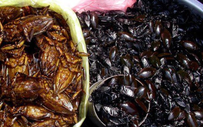 Đặc sản ai nhìn cũng 'nổi da gà', ăn thử một lần sẽ ấn tượng cả đời không quên