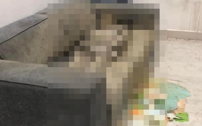 Vụ cô gái chết khô trên sofa: Có khả năng sử dụng thuốc khiến thi thể khô lại?