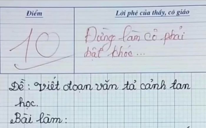 Bài văn tiểu học nhận 10 điểm khiến cô giáo phải bật khóc