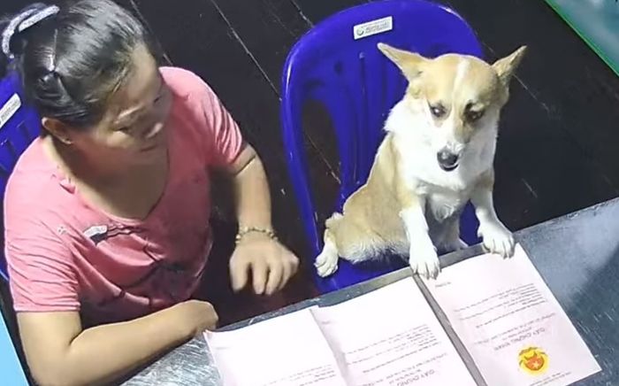 Đi học xa check camera xem ở nhà, cô gái thấy cảnh không nói nên lời