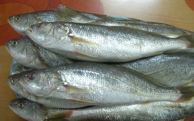 Loại cá tên độc lạ xưa ít người biết, giờ thành đặc sản được khách du lịch ưa chuộng, 150.000 đồng/kg