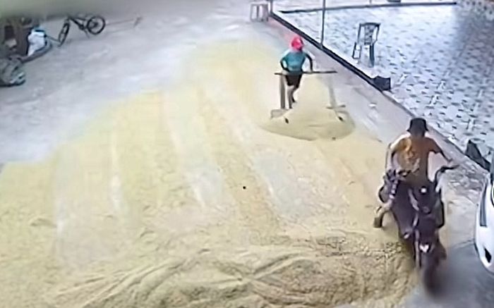 Con trai cào lúa nhanh thần tốc, mẹ xem camera mới biết sự thật phía sau
