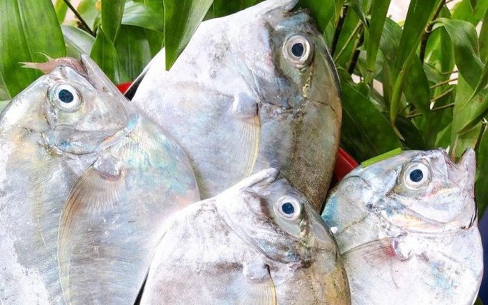 Loại cá tên lạ thành đặc sản được dân thành phố yêu thích, muốn ăn phải đặt trước, 200.000 đồng/kg