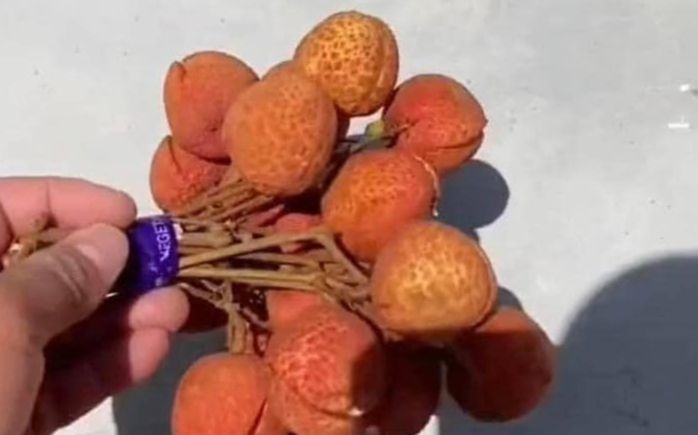 Thấy chùm vải tươi trên đường, thanh niên hí hửng nhặt lên và cái kết