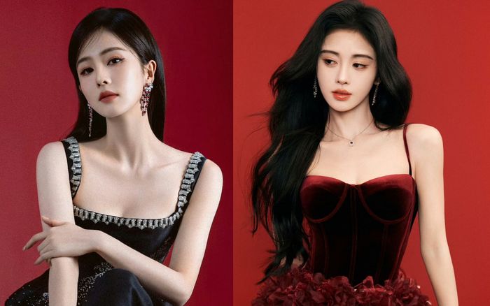 Dù bằng tuổi nhưng sự nghiệp của Cúc Tịnh Y kém xa Bạch Lộc