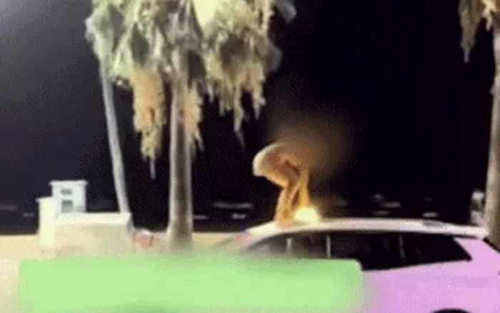 Cô gái có biểu hiện bất thường, lên nóc taxi nhảy múa khiến tài xế hốt hoảng