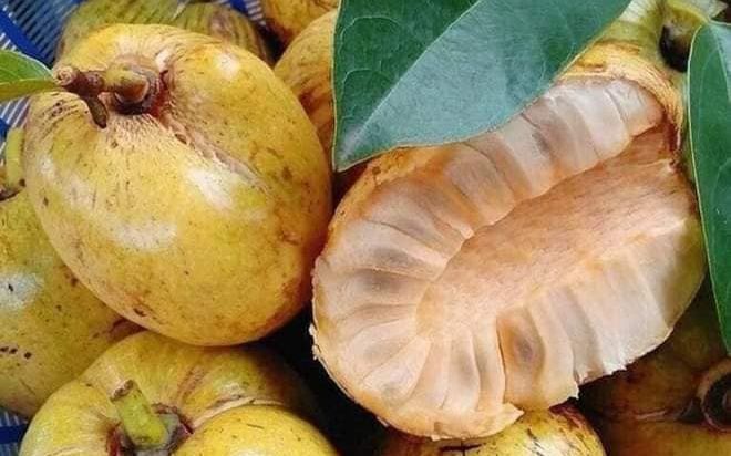 Loại quả xưa rụng đầy vườn không ai nhặt, giờ là đặc sản giá 'ngất ngưởng'