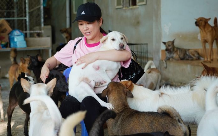 Vợ chồng diễn viên Việt vừa công khai ly hôn: 12 năm sống chung không con, nuôi thú cưng bầu bạn