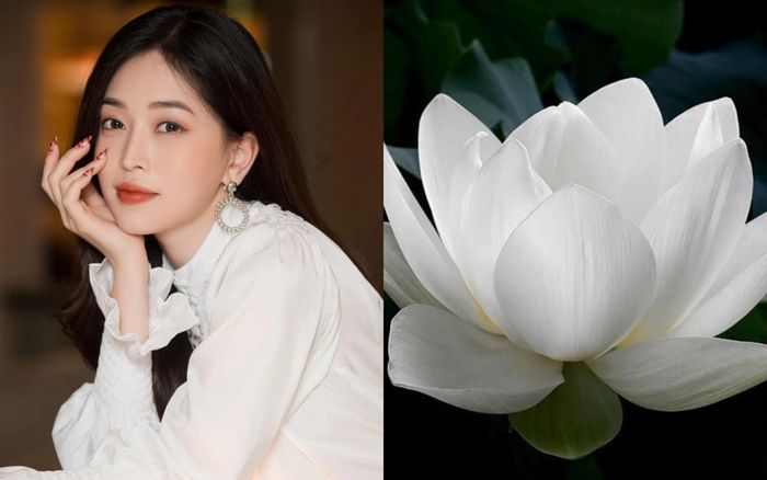 Á hậu Phương Nga thông báo chi tiết về tang sự nhà chồng