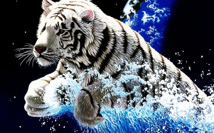 3 con giáp giàu không ai sánh bằng sau 50 tuổi