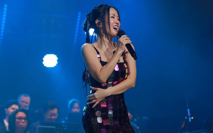 Diva Hồng Nhung khẳng định danh hiệu 'loa phường'