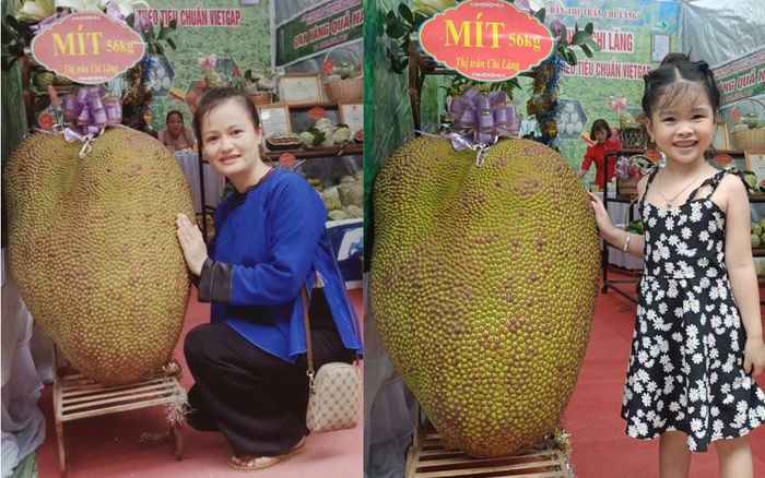 Trái mít khổng lồ 56 kg ở Lạng Sơn gây bão mạng xã hội