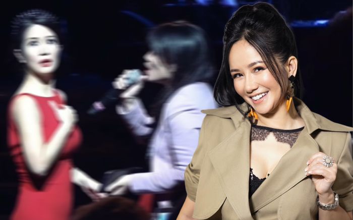 Diva Hồng Nhung 'hối hận' khi đưa micro cho khán giả hát