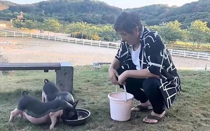 Nam diễn viên đình đám bỏ showbiz về quê nuôi lợn, trồng rau