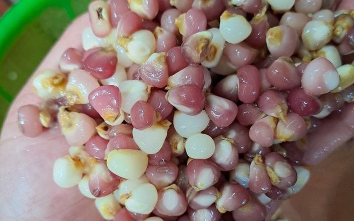 Thứ xưa dành chống đói, giờ thành đặc sản được dân thành phố 'ưa chuộng', 80.000 đồng/kg