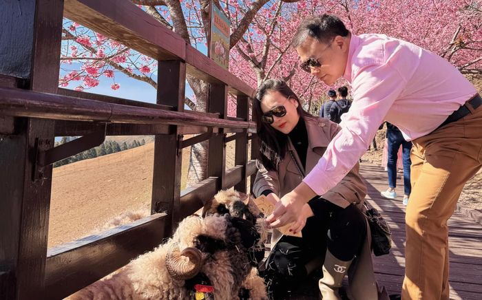 Shark Bình giữ kín khoảnh khắc tình tứ với Phương Oanh, nay mới tung ra khiến netizen ghen tỵ